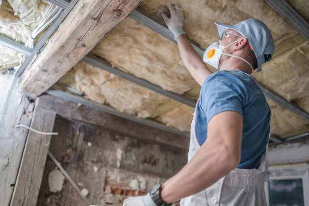 Best Insulation Maintenance and Repair in Magnolia, NC