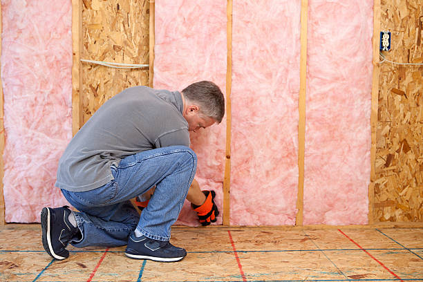 Best Types of Insulation in Magnolia, NC